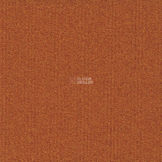 Modulyss Millennium Nxtgen Millennium Nxtgen 322 фото 1 | FLOORDEALER